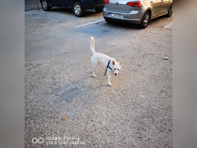 Nea 7 Monate alt,  Notfall