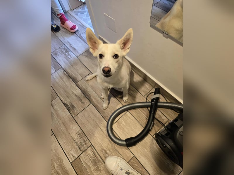 Nea 7 Monate alt,  Notfall