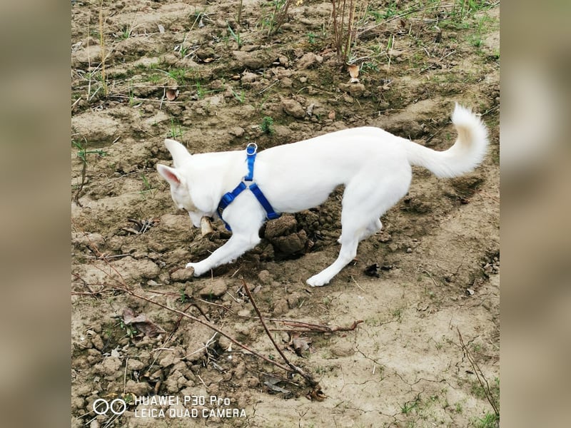 Nea 7 Monate alt,  Notfall