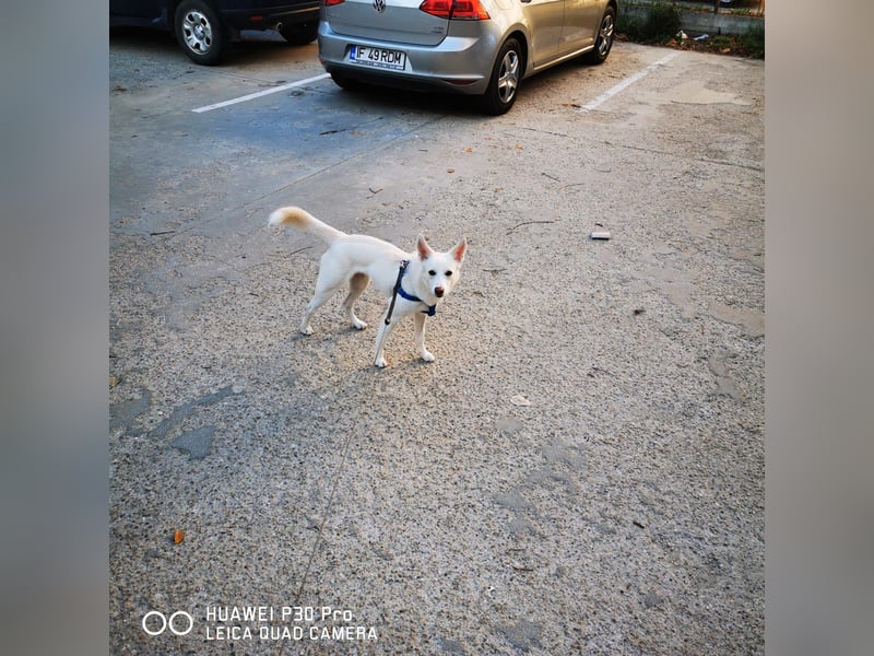 Nea 7 Monate alt,  Notfall