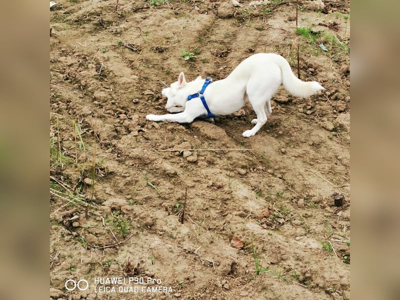 Nea 7 Monate alt,  Notfall