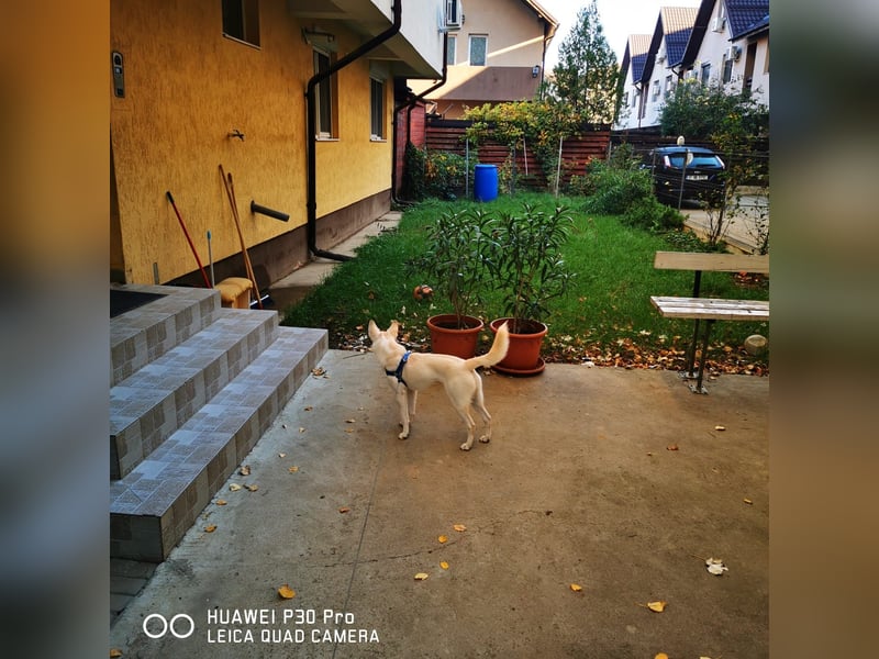 Nea 7 Monate alt,  Notfall