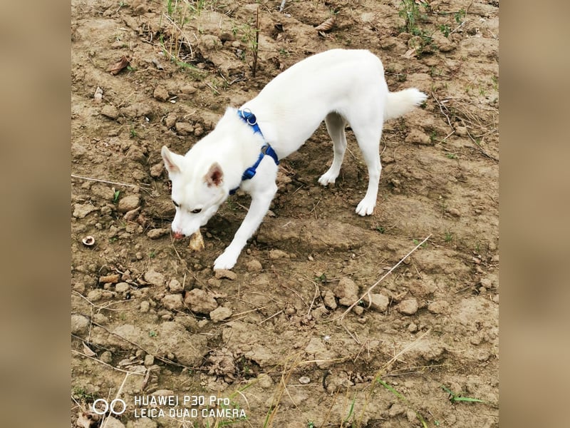 Nea 7 Monate alt,  Notfall