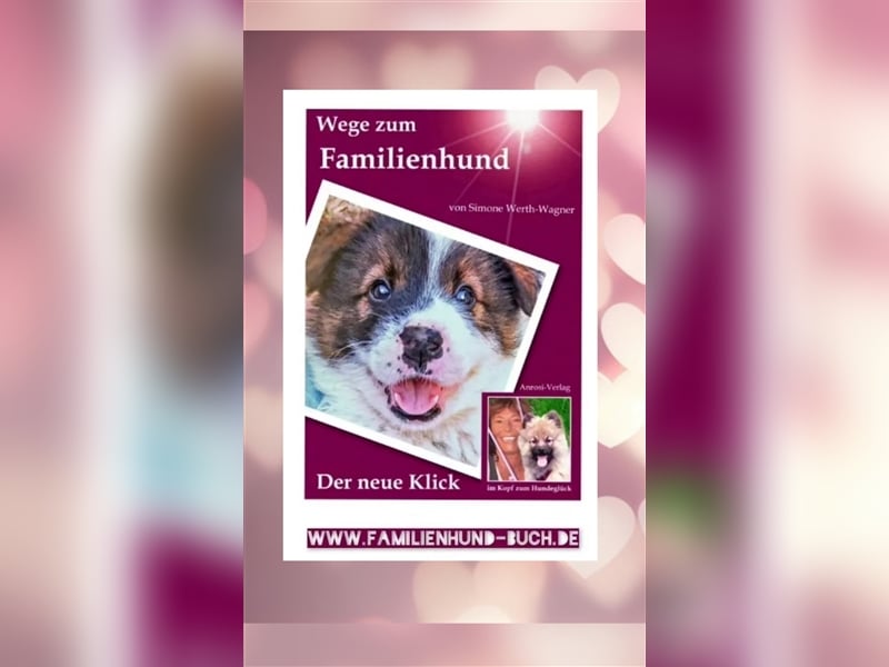 Welpe, Hund, Mischling, Rasse - Erziehung zum Familienhund - einfach gemacht