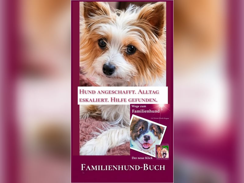 Welpe, Hund, Mischling, Rasse - Erziehung zum Familienhund - einfach gemacht