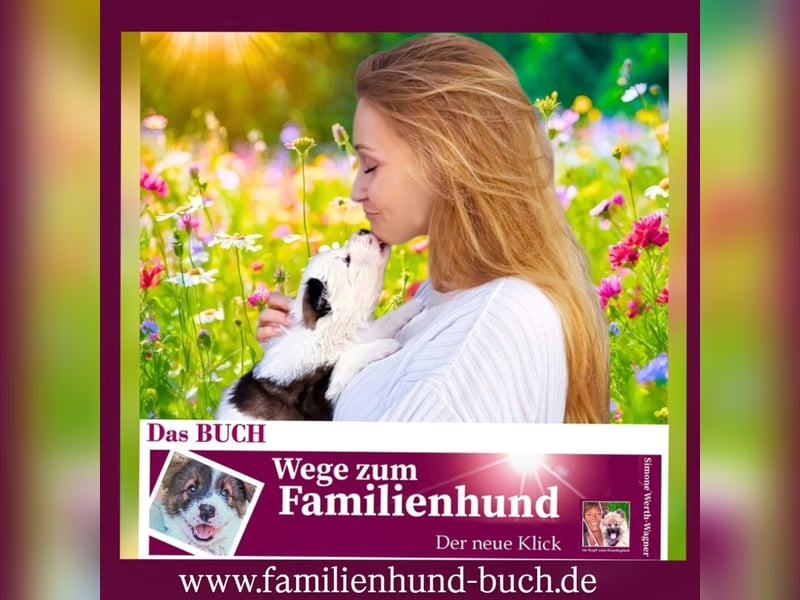Welpe, Hund, Mischling, Rasse - Erziehung zum Familienhund - einfach gemacht