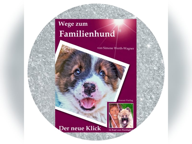 Welpe, Hund, Mischling, Rasse - Erziehung zum Familienhund - einfach gemacht