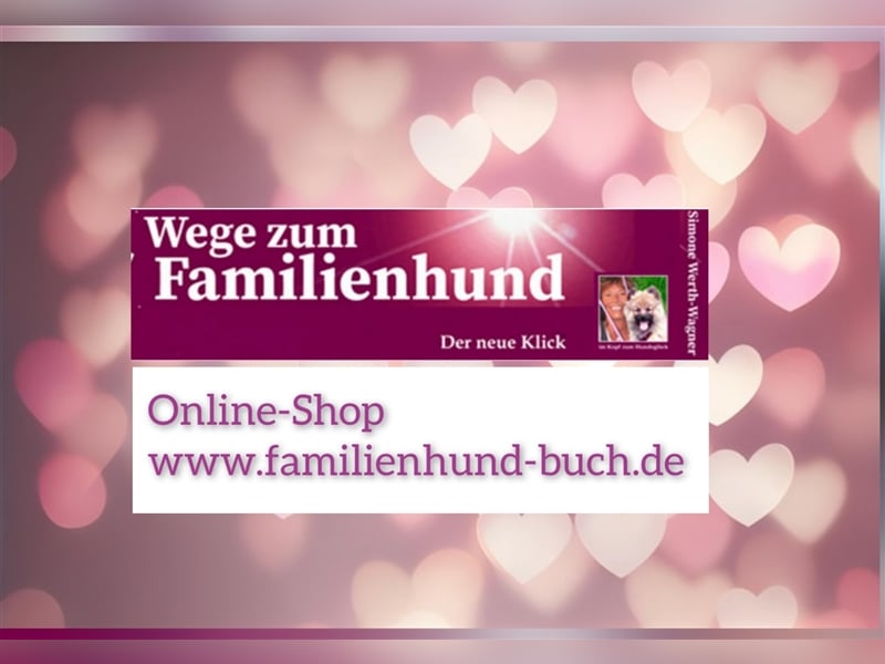 Welpe, Hund, Mischling, Rasse - Erziehung zum Familienhund - einfach gemacht