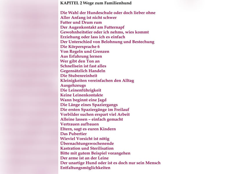 Welpe, Hund, Mischling, Rasse - Erziehung zum Familienhund - einfach gemacht