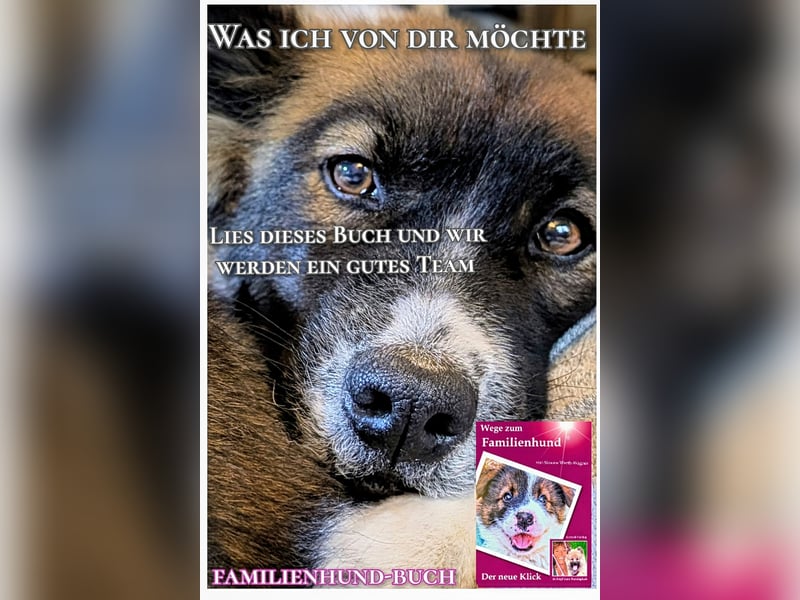 Welpe, Hund, Mischling, Rasse - Erziehung zum Familienhund - einfach gemacht