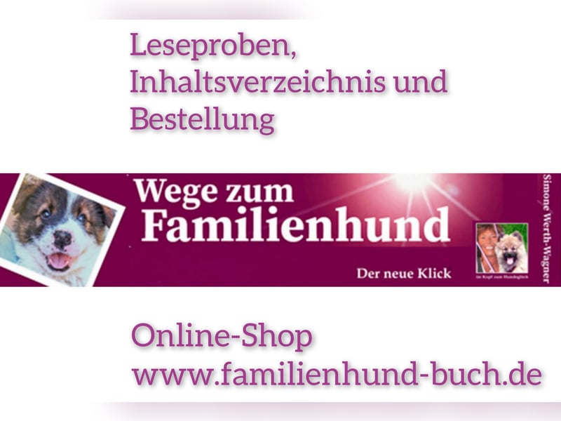 Welpe, Hund, Mischling, Rasse - Erziehung zum Familienhund - einfach gemacht