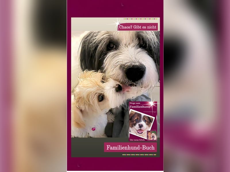 Welpe, Hund, Mischling, Rasse - Erziehung zum Familienhund - einfach gemacht