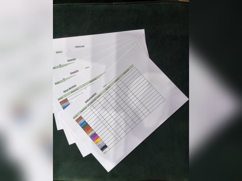 Welpen Aufzucht Karteikarten deutsch Aufzeichnungskarten