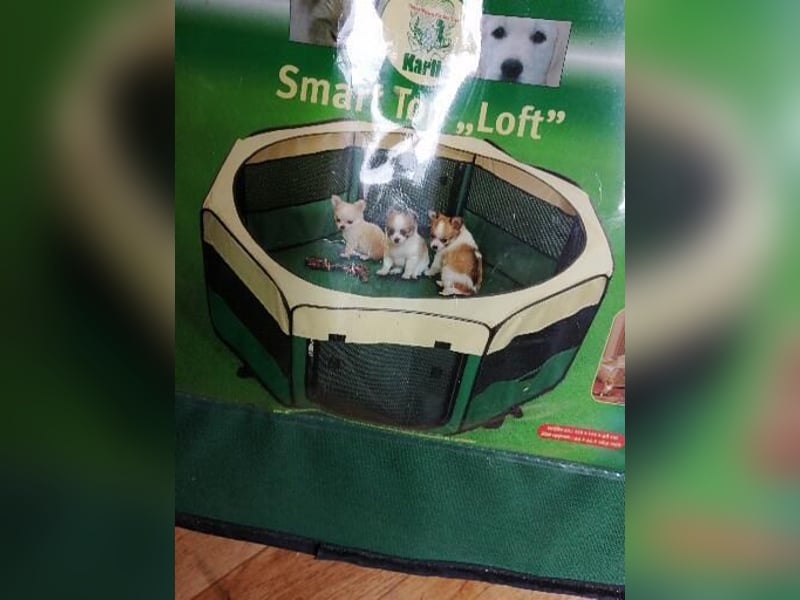 Welpenauslauf  Sicherheit für Drinnen.