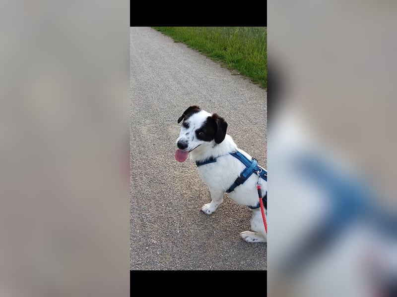 Josie sucht Herzensmensch fürs Leben