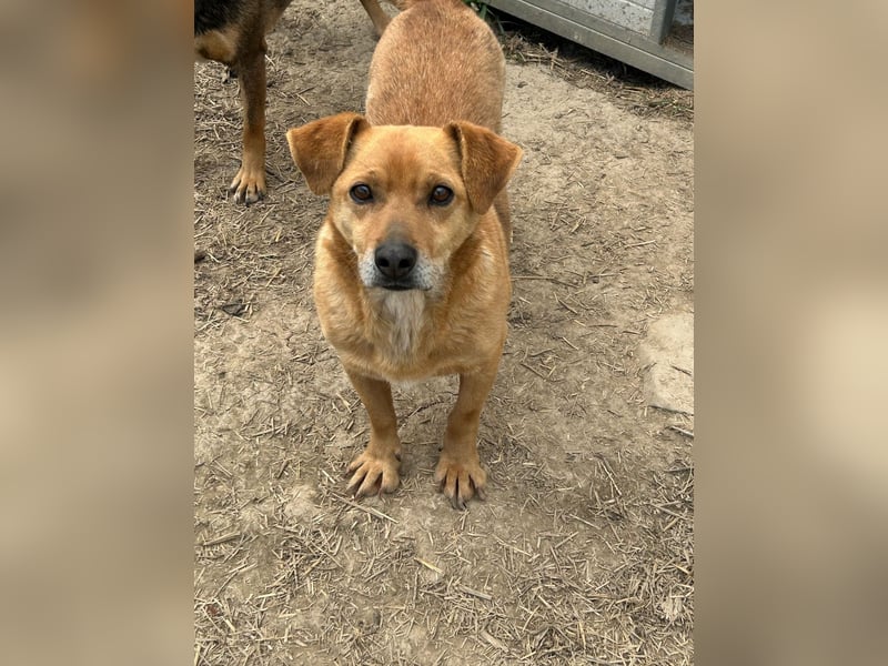 Bobo - kleiner Schatz