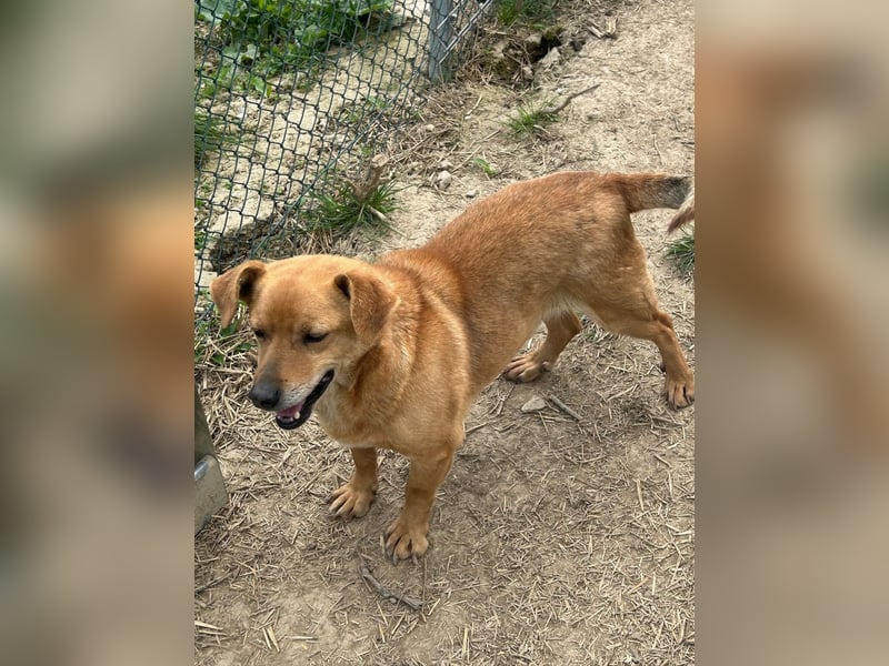 Bobo - kleiner Schatz