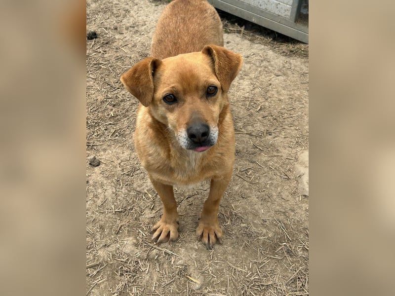 Bobo - kleiner Schatz