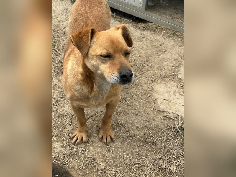 Bobo - kleiner Schatz