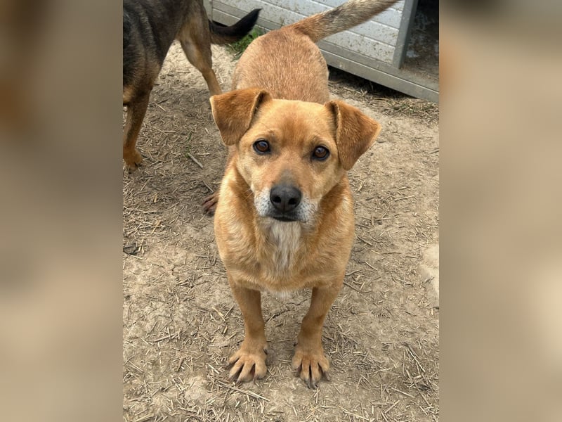 Bobo - kleiner Schatz