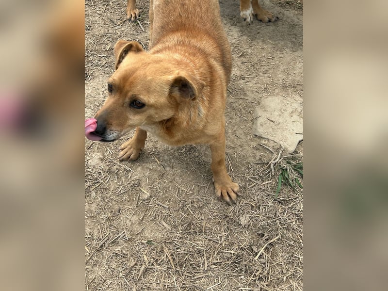 Bobo - kleiner Schatz