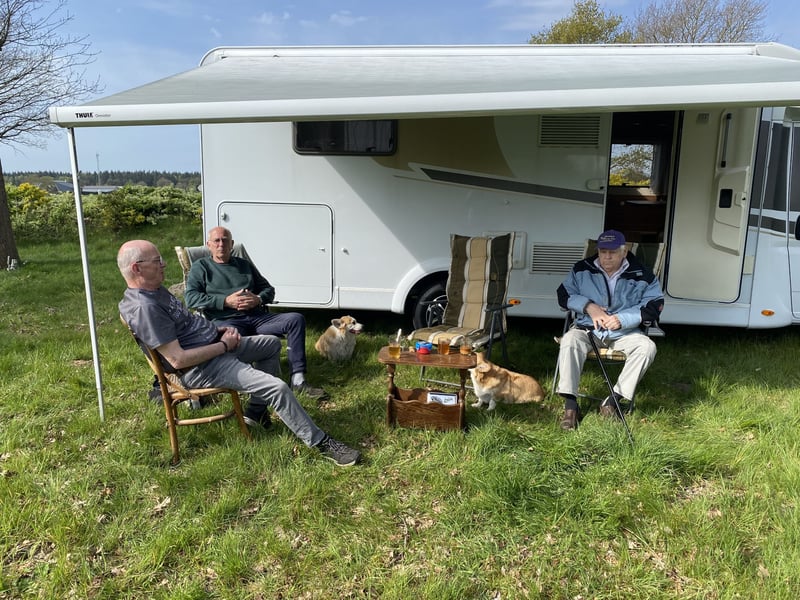 Welsh Corgi Pembroke Welpen