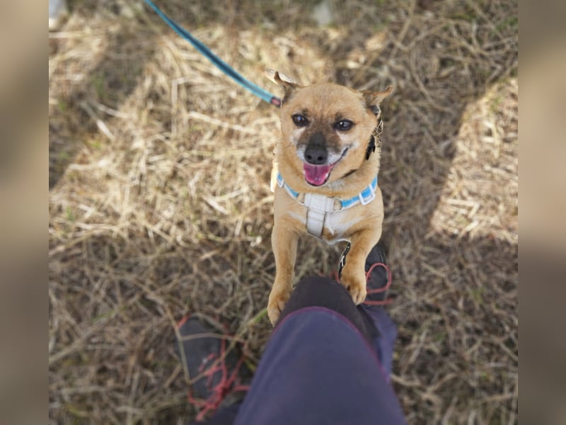Charlie: wer hat mich lieb?