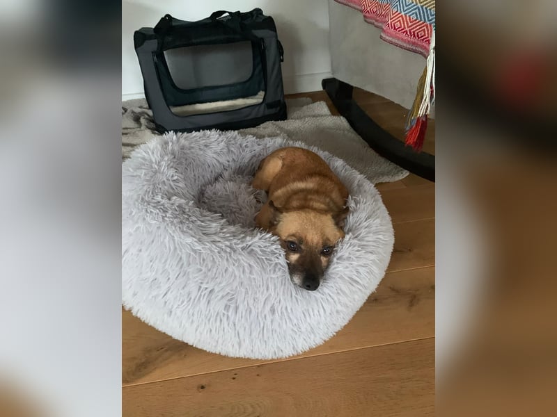 Charlie: wer hat mich lieb?