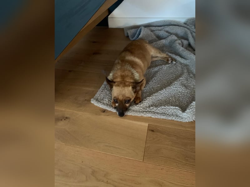 Charlie: wer hat mich lieb?