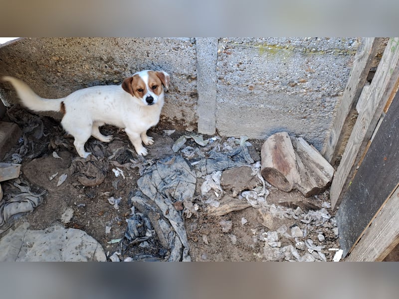 PRACLI - LEBTE ABGESCHOTTET IM EIGENEN KOT