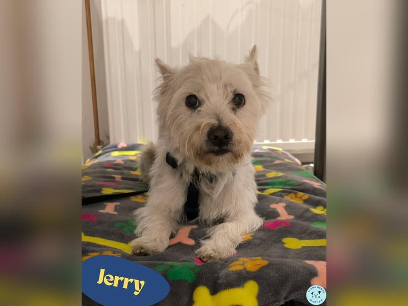 Jerry DE, sucht erfahrene Menschen