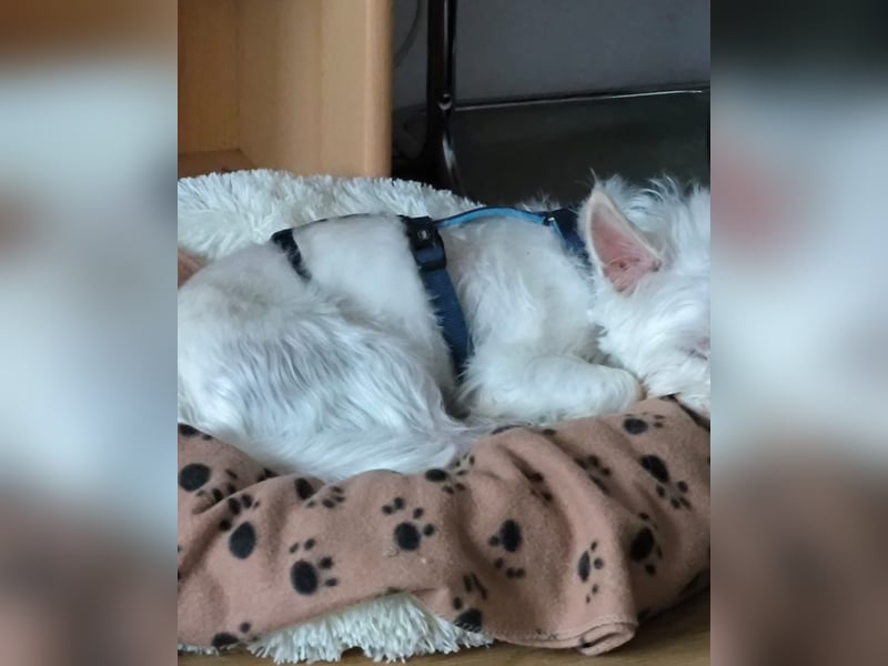 Jerry DE, sucht erfahrene Menschen