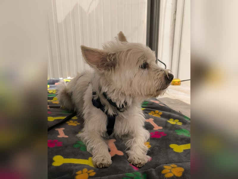 Jerry DE, sucht erfahrene Menschen