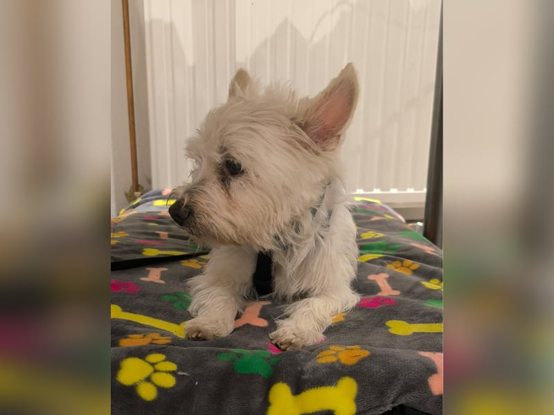 Jerry DE, sucht erfahrene Menschen