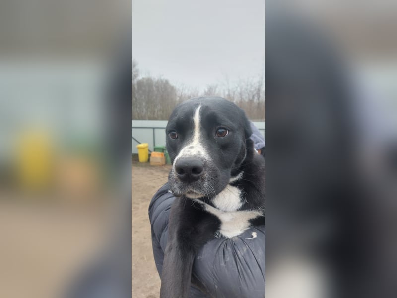 Graf Poldi ist einzigartig und bereit fürs Leben