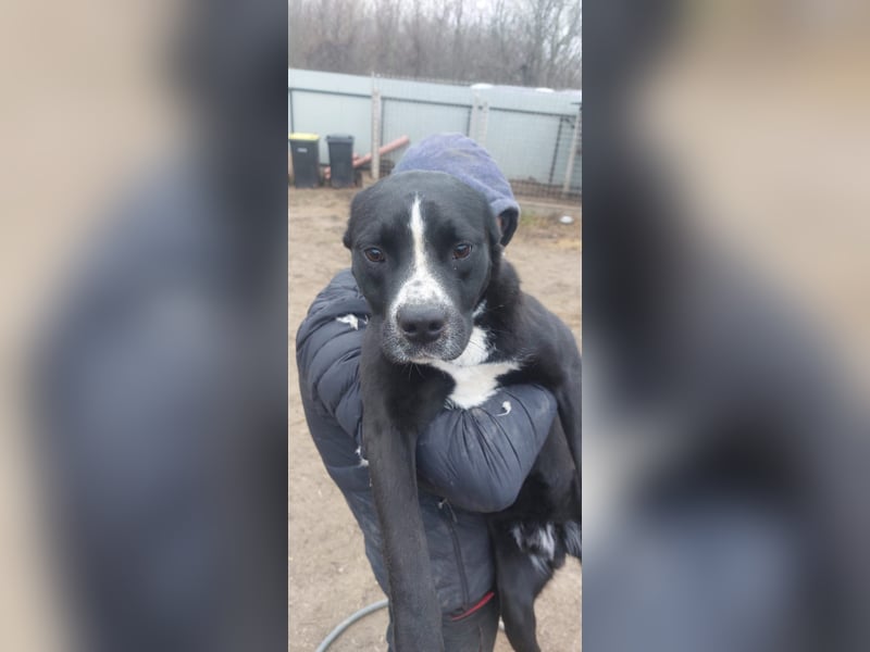 Graf Poldi ist einzigartig und bereit fürs Leben