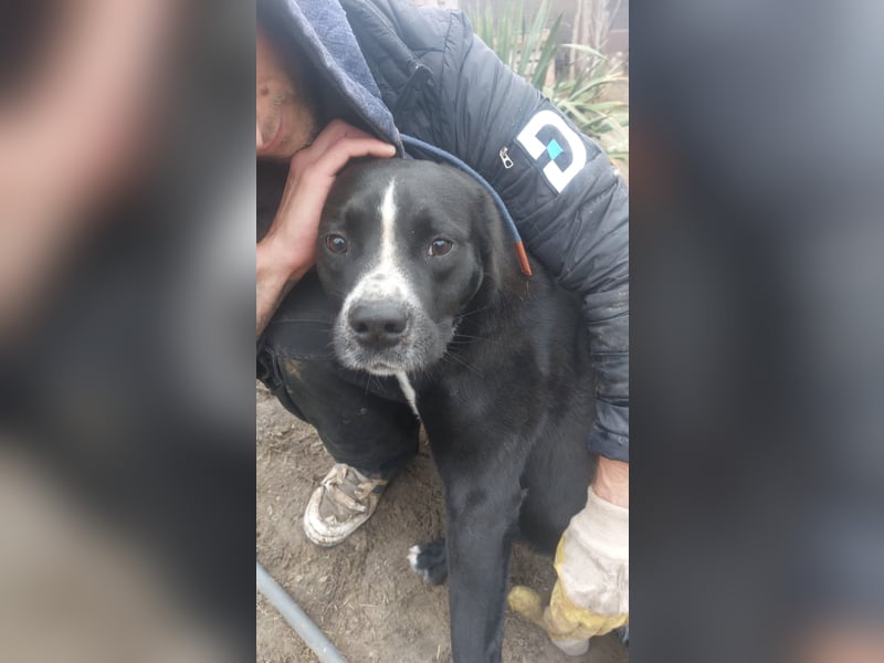 Graf Poldi ist einzigartig und bereit fürs Leben