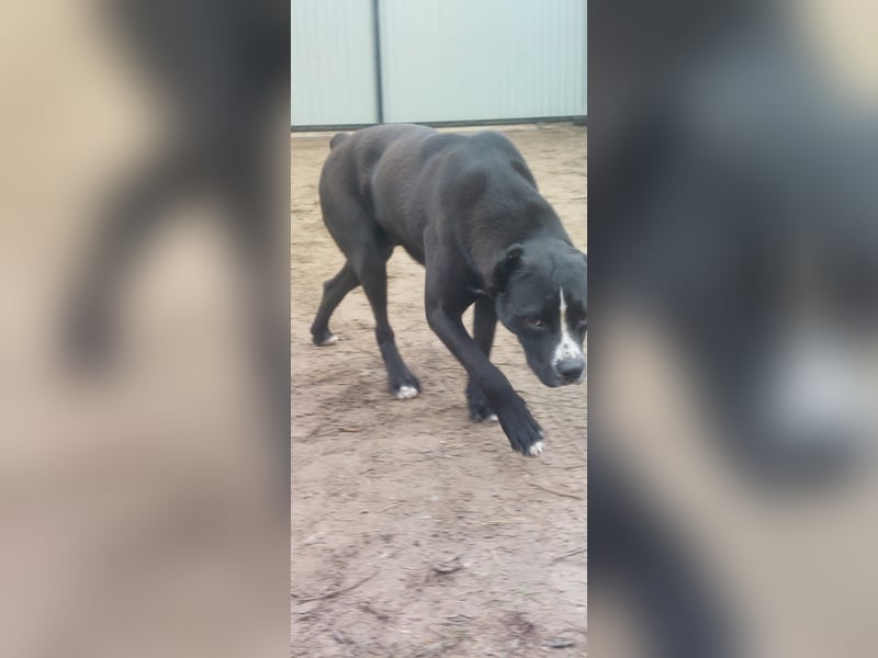 Graf Poldi ist einzigartig und bereit fürs Leben