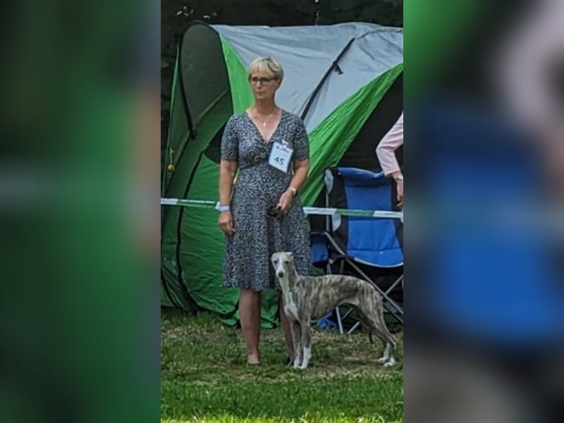 Unsere  Whippet Welpen WCD e. V./VDH