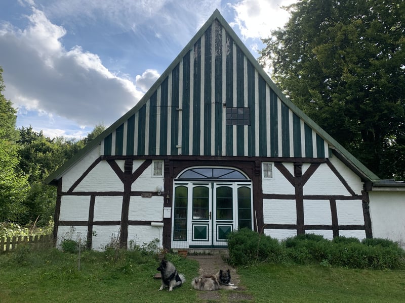 Wolfsspitzzucht Dschidi ˋs