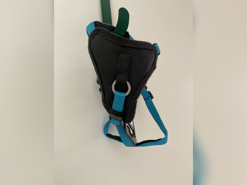 Wolters Geschirr Professional Comfort Größe 0 Aqua/Schwarz