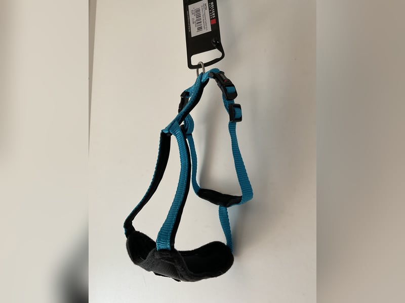 Wolters Geschirr Professional Comfort Größe 0 Aqua/Schwarz