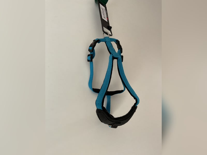 Wolters Geschirr Professional Comfort Größe 0 Aqua/Schwarz