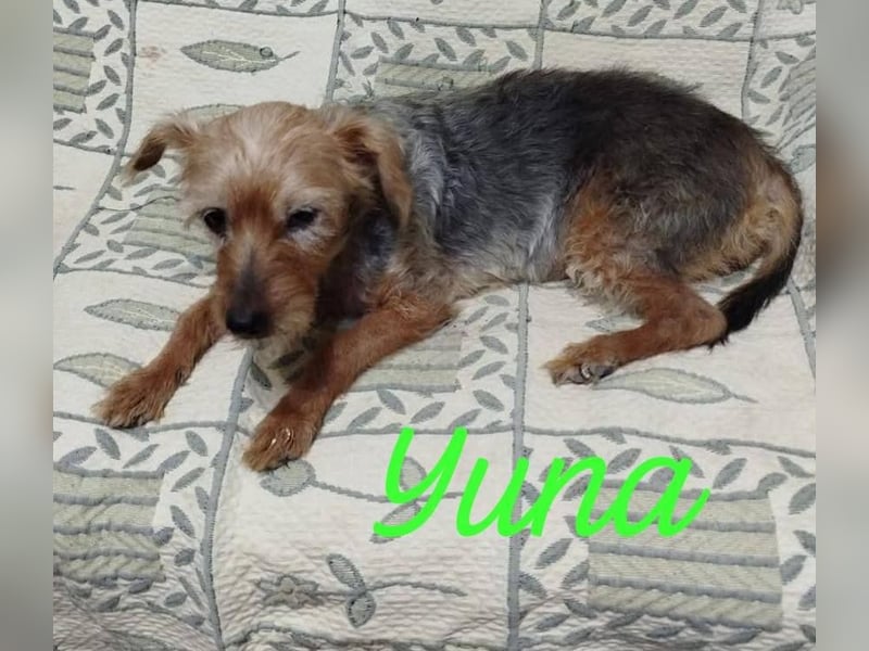 ❤️ YUNA ❤️  ❗NOTFALL❗