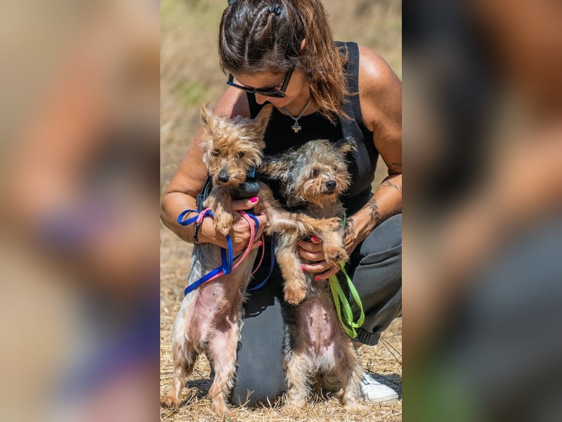 Nini und Neco - die Unzertrennlichen