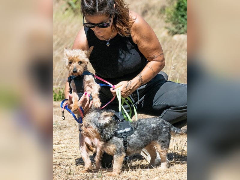 Nini und Neco - die Unzertrennlichen Nini und Neco - die Unzertrennlichen