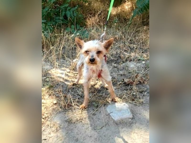 Soli ein super liebes Mädchen