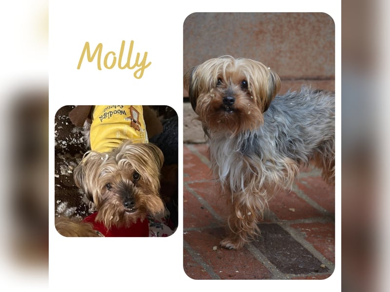 Molly