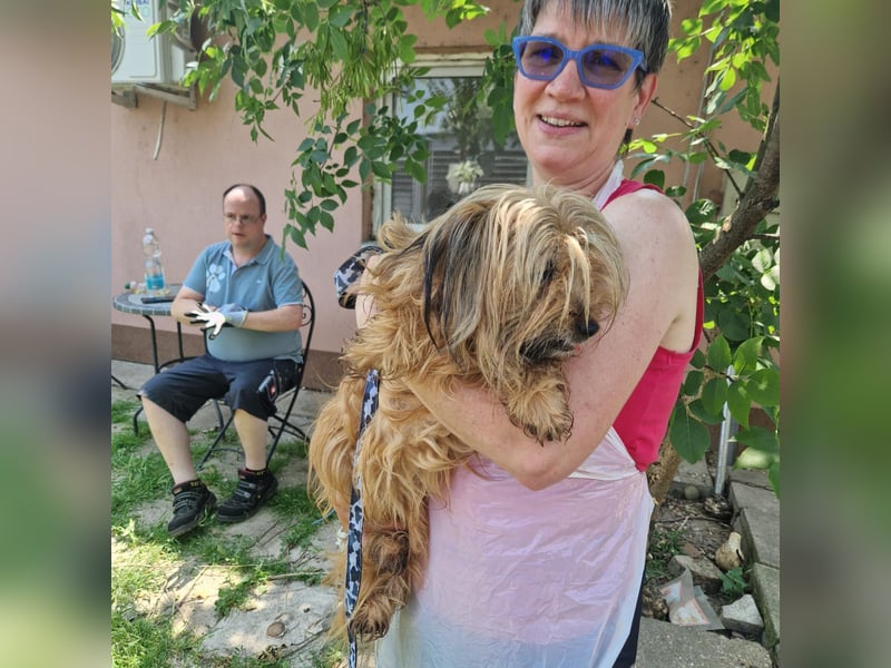 Berit-Bagatel PP – zarte Hundedame sucht ruhiges Zuhause fürs Herz