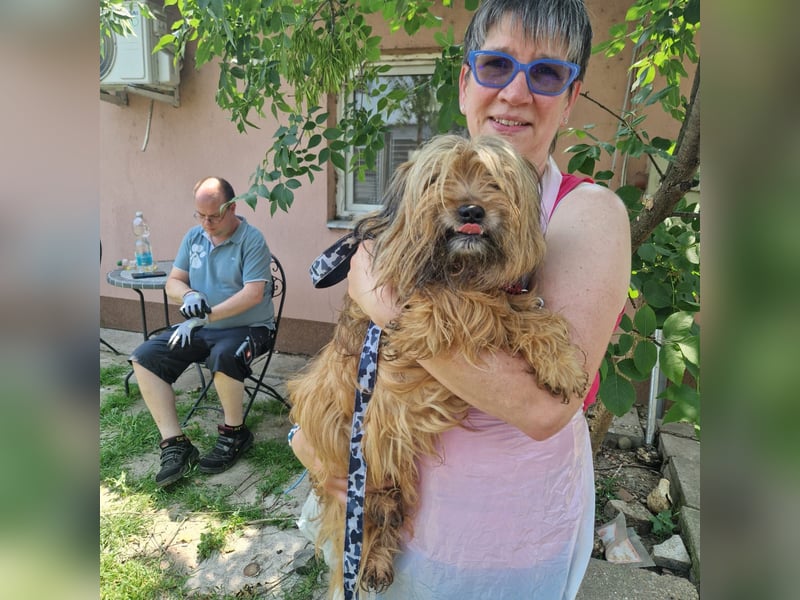 Berit-Bagatel PP – zarte Hundedame sucht ruhiges Zuhause fürs Herz